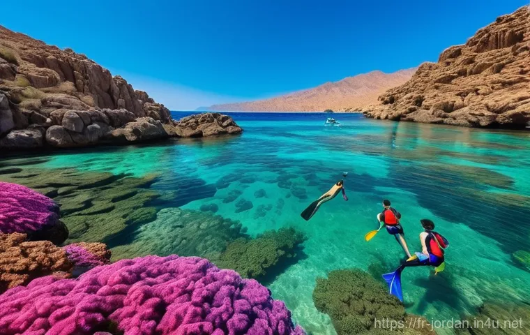 요르단의 해양 스포츠 - **Underwater Military Museum Exploration:** An immersive underwater scene in the clear, turquoise wa...